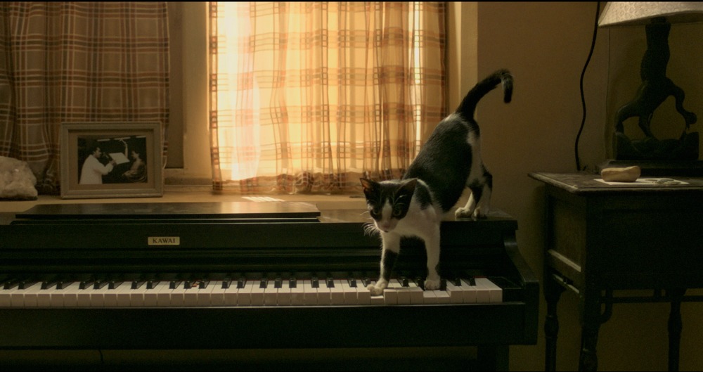 「盲目のメロディ～インド式殺人狂騒曲～」