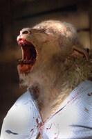 「ブラックシープ」 (c)Live Stock Films Ltd MMVI