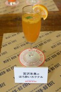 宮沢氷魚のほろ酔いカクテル（税別740円）
