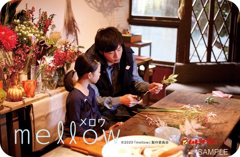 「mellow」ムビチケカード