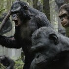 「猿の惑星」新作に「メイズ・ランナー」シリーズ監督が参加