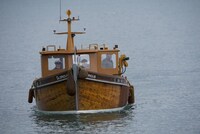 「バニシング」