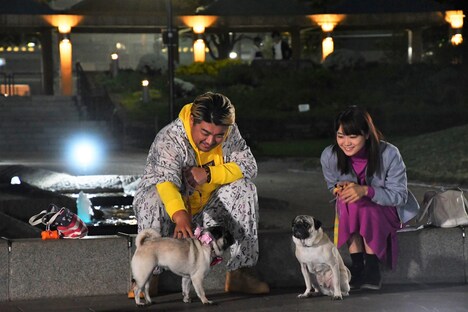 「まだ結婚できない男」