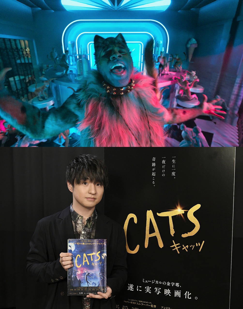 「キャッツ」よりジェイソン・デルーロ演じるラム・タム・タガー（上）、日本語吹替版キャストの藤原聡（下）。