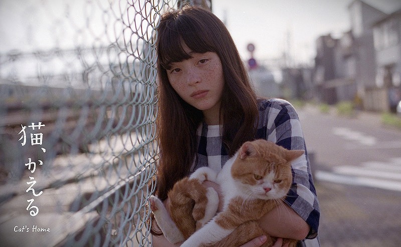 「猫、かえる Cat's Home」