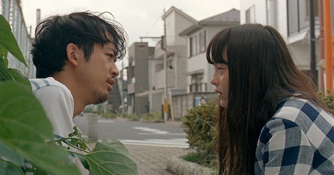 「猫、かえる Cat's Home」