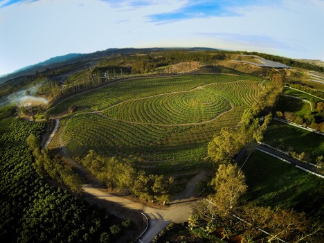 「ビッグ・リトル・ファーム 理想の暮らしのつくり方」