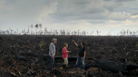 「グリーン・ライ ～エコの嘘～」