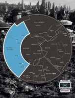 「STAR WARS THE GALACTIC EXPLORER'S GUIDE」より。