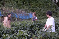 「発情物語 幼馴染はヤリ盛り」