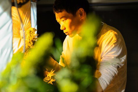 「花と雨」新場面写真