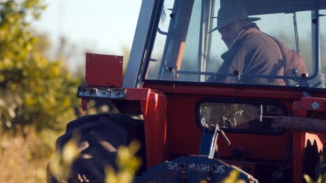 「世界でいちばん貧しい大統領 愛と闘争の男、ホセ・ムヒカ」