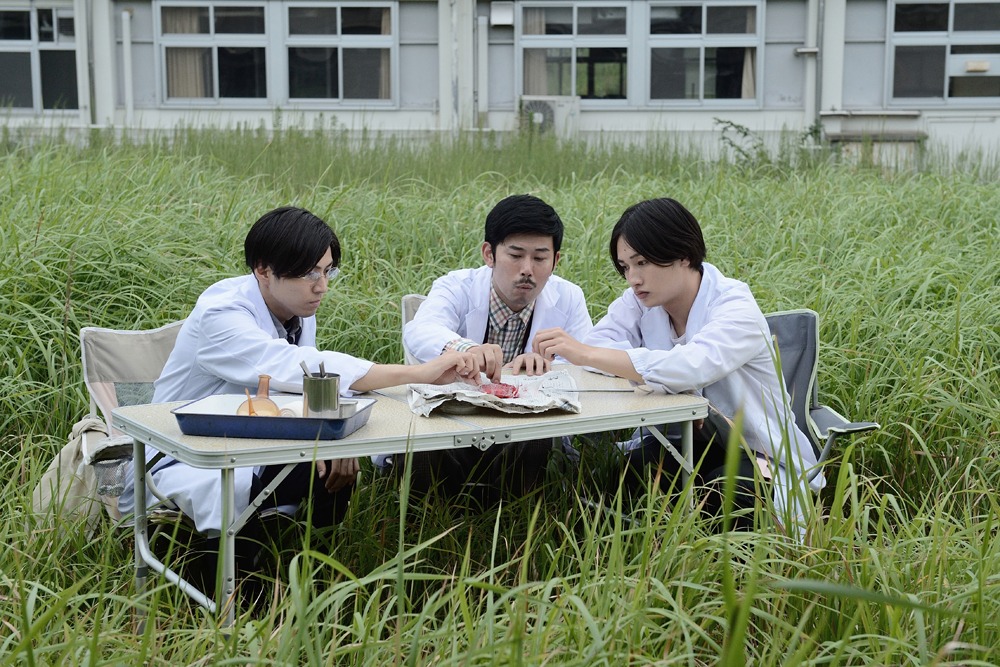 「岡野教授の千年花草譚」