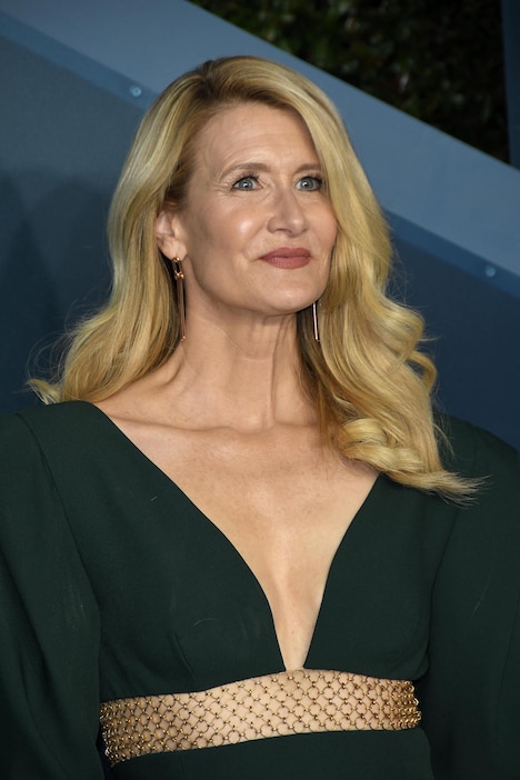 ローラ・ダーン（写真提供：Sthanlee Mirador / Sipa USA / Newscom / ゼータ イメージ）