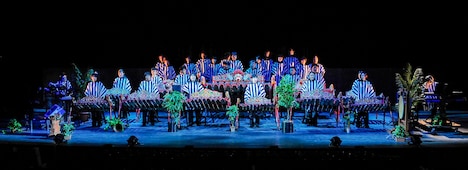 芸能山城組 AKIRA公演「逢燦杰極譚（アキラじぇごぐだん）」より。