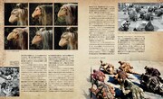 「ダーククリスタル アルティメット・ヴィジュアル・ブック～ジム・ヘンソンによる究極の人形劇映画の舞台裏～」より。