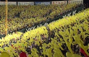 「阪神タイガース THE MOVIE~猛虎神話集~」
