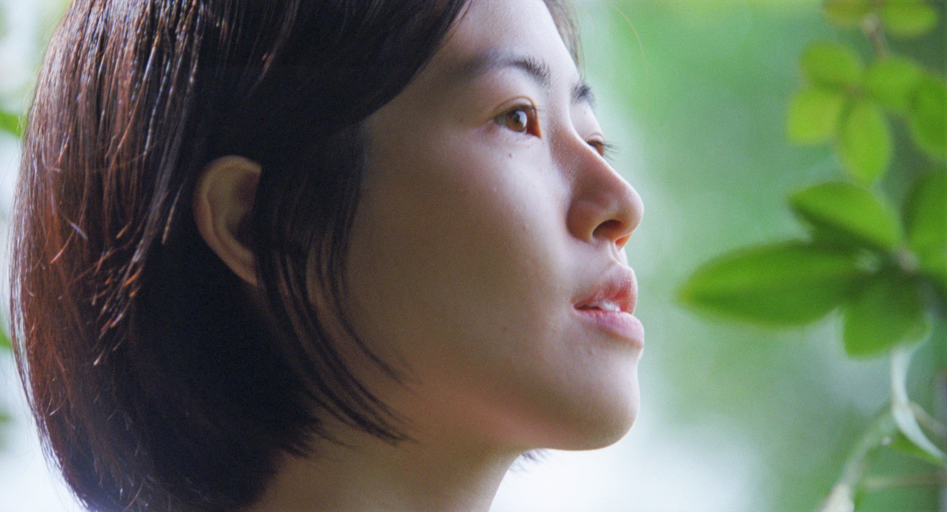 富司純子とシム・ウンギョンの主演作「椿の庭」に鈴木京香、チャン