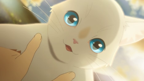 「泣きたい私は猫をかぶる」