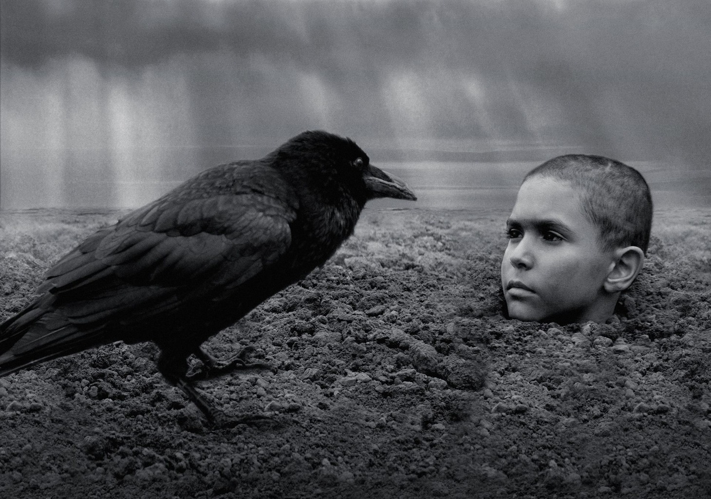 「異端の鳥」