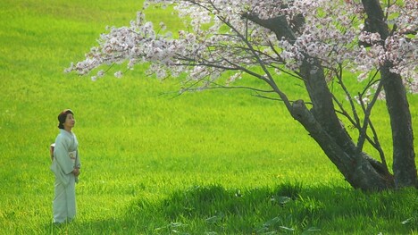 「モルエラニの霧の中」