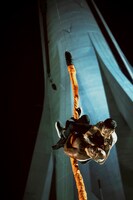 「無敵のドラゴン」 (c)2019 Pegasus Motion Pictures (Hong Kong) Ltd. All Rights Reserved