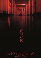 「スケアリーストーリーズ 怖い本」ペール・レディのポスタービジュアル。