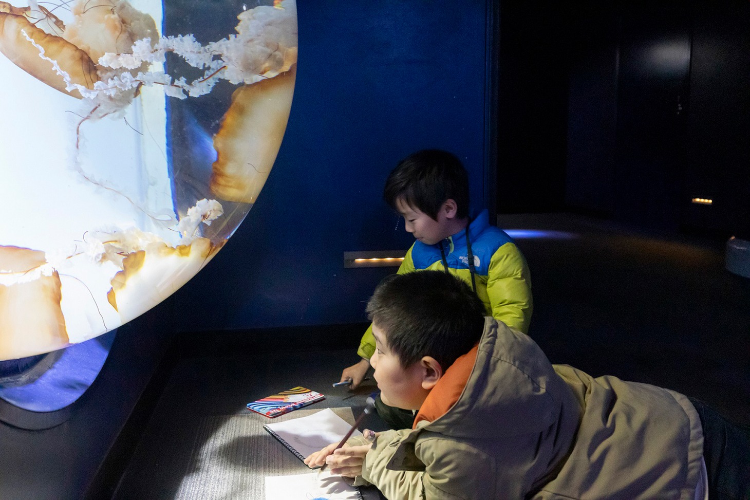 アニメ水族館の実施風景。