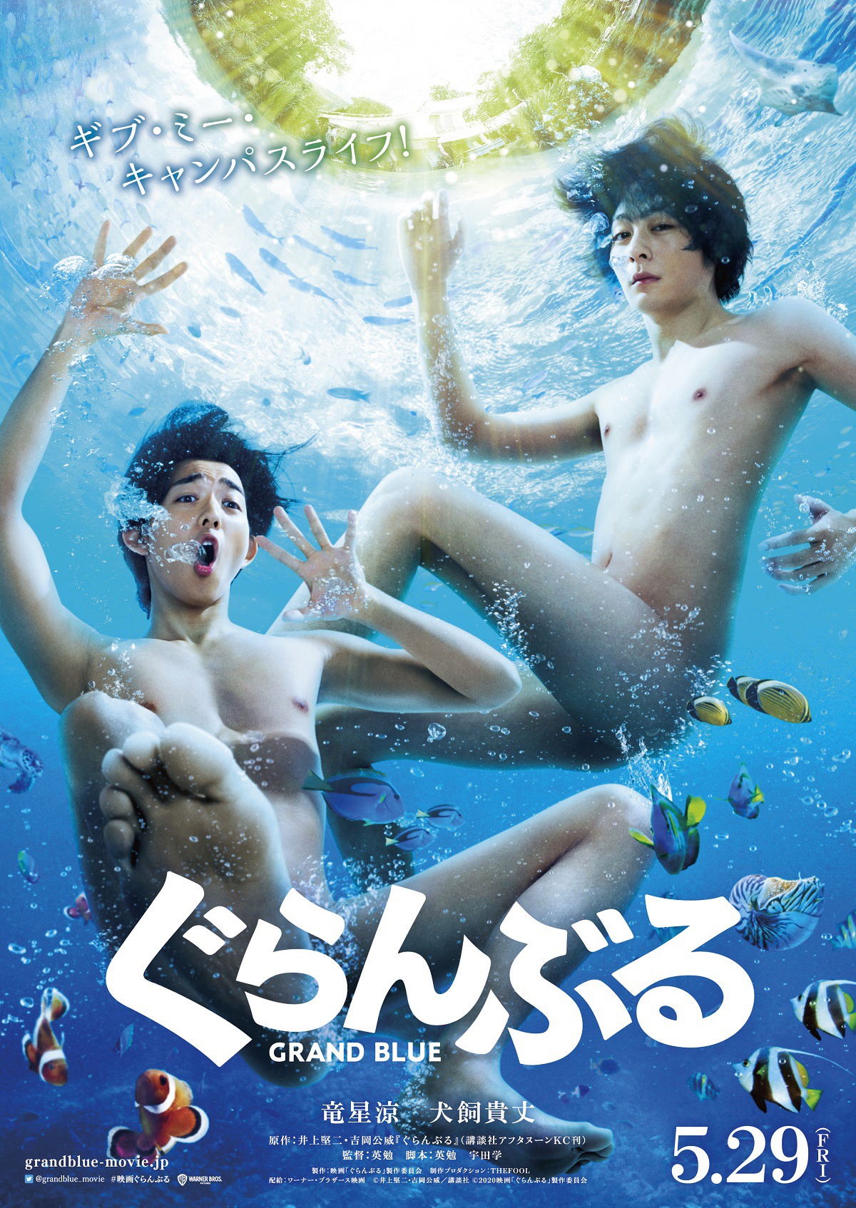 「ぐらんぶる」ビジュアル