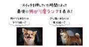「犬鳴村」恐怖回避機能の説明。