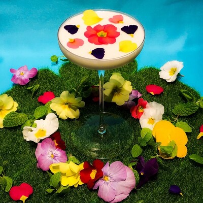 Bar十誡で販売される祝祭（花咲き乱れる林檎のホワイトアレキサンダー）。