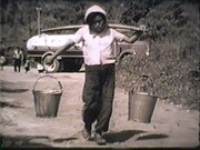 「佐賀県」「鹿児島県」