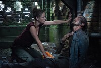 「クロール ―凶暴領域―」