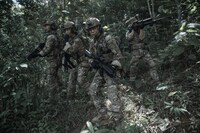 「ピーク・レスキュー」