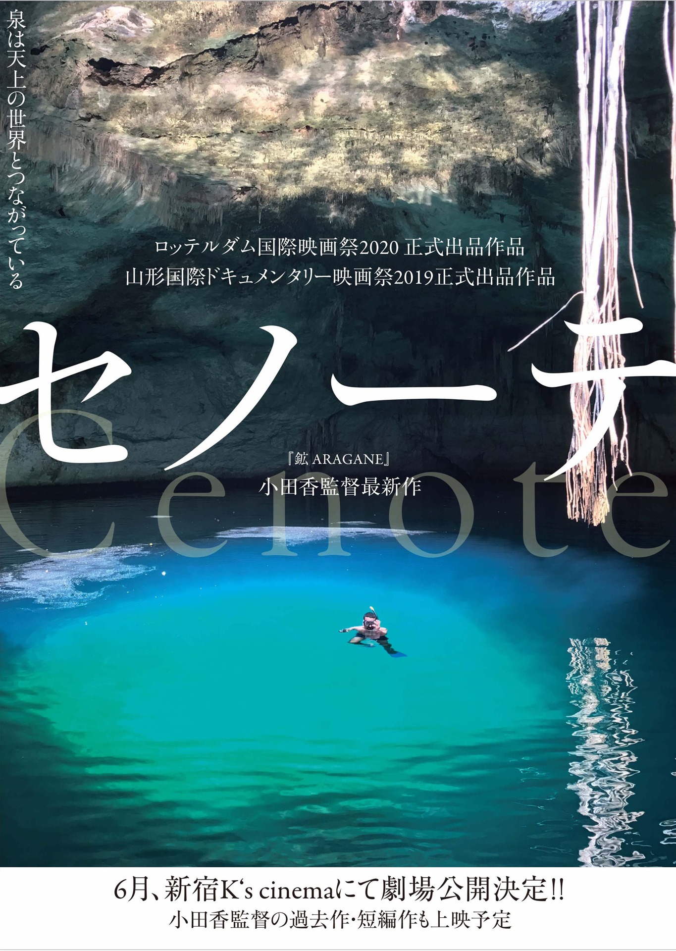 「セノーテ」ティザービジュアル
