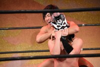 反則の噛み付き攻撃をする犬鳴めんそーれ（手前）。