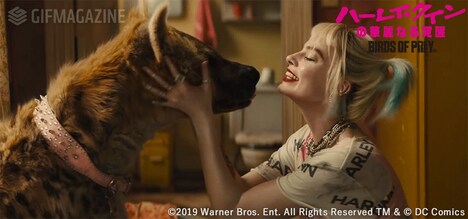 「ハーレイ・クインの華麗なる覚醒 BIRDS OF PREY」GIF