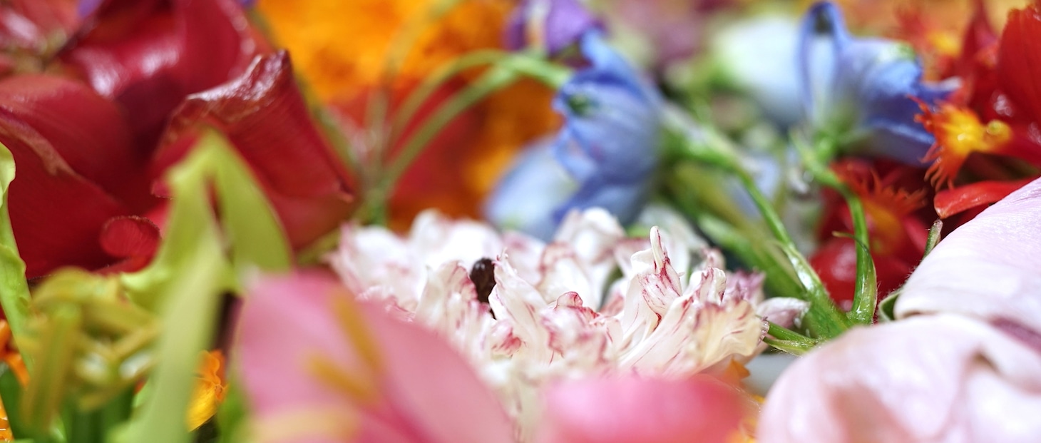 「Grand Bouquet」 (c)Nao Yoshigai