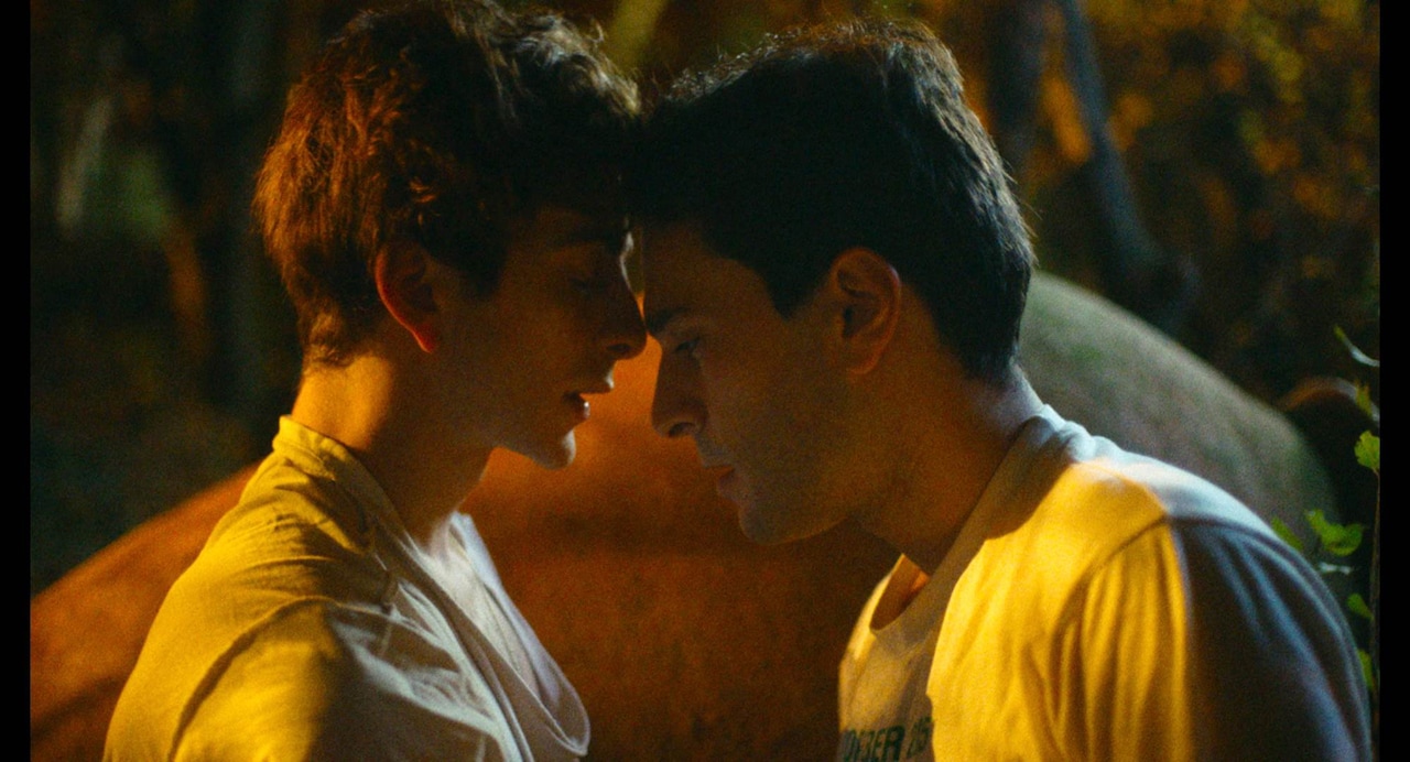 秘めた恋が動き出す、「ダンサー そして私たちは踊った」新場面写真が公開