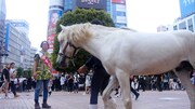 「れいわ一揆」新場面写真
