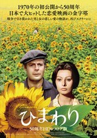 「ひまわり 50周年HDレストア版」のポスタービジュアル。