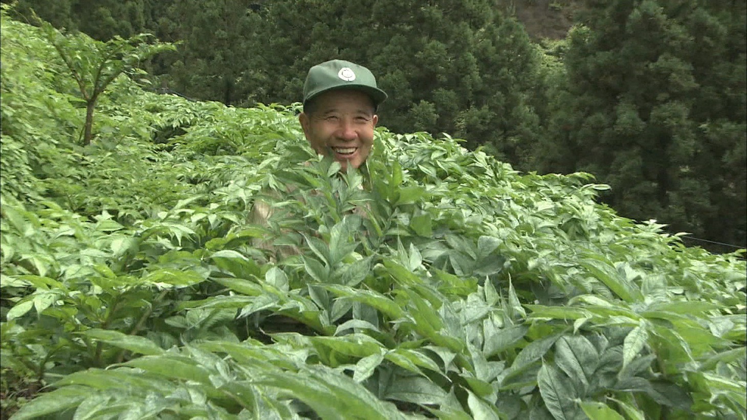 「花のあとさき ムツばあさんの歩いた道」