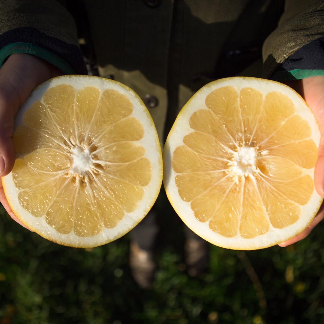 「ビッグ・リトル・ファーム 理想の暮らしのつくり方」新場面写真