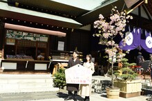 左から成田凌、波瑠。