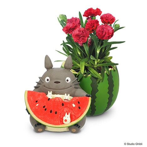 「となりのトトロ“スイカ畑から”とカーネーションセット」（送料込7150円）