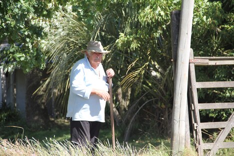「世界でいちばん貧しい大統領 愛と闘争の男、ホセ・ムヒカ」新場面写真