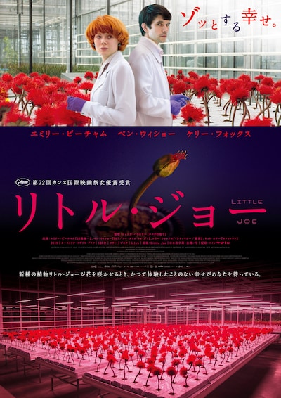 「リトル・ジョー」ポスタービジュアル