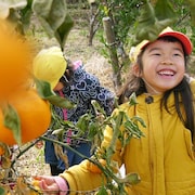 東京五輪聖火リレー出発点、福島の被災地から本当の復興問うドキュメンタリー公開