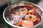 「もみの家」スチル