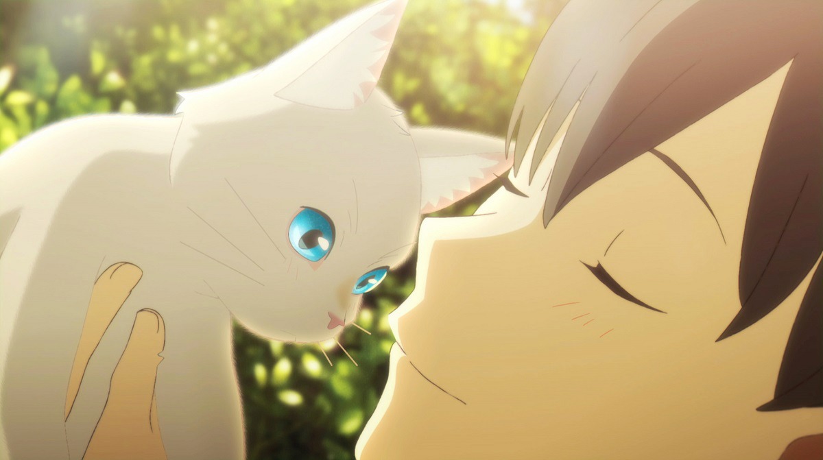 「泣きたい私は猫をかぶる」